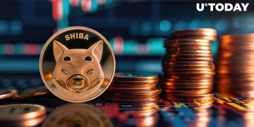 Shiba Inu (SHIB) Paints Problematic Picture