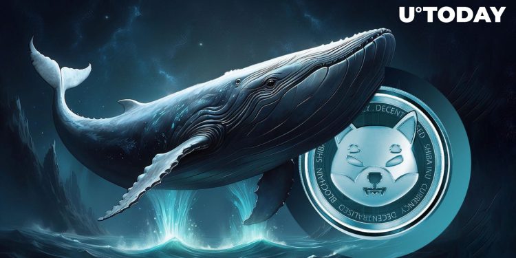Shiba Inu Whales Scoop up 5.58 Trillion SHIB in Single Day