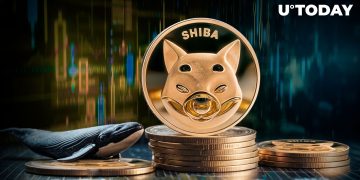 Enormous 5.7 Trillion Shiba Inu (SHIB) in 24 Hours: What’s Happening?