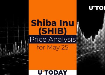 SHIB Price Prediction for May 25