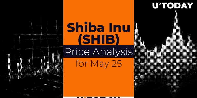 SHIB Price Prediction for May 25
