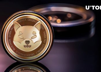 Shiba Inu Insider Shares Crucial Message With SHIB Community