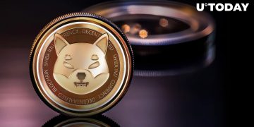 Shiba Inu Insider Shares Crucial Message With SHIB Community