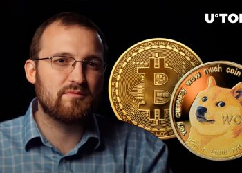 Cardano Founder Drops Surprising Dogecoin, Bitcoin Insight