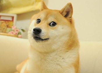 Dog That Inspired Dogecoin (DOGE), Shiba Inu (SHIB) Has Died