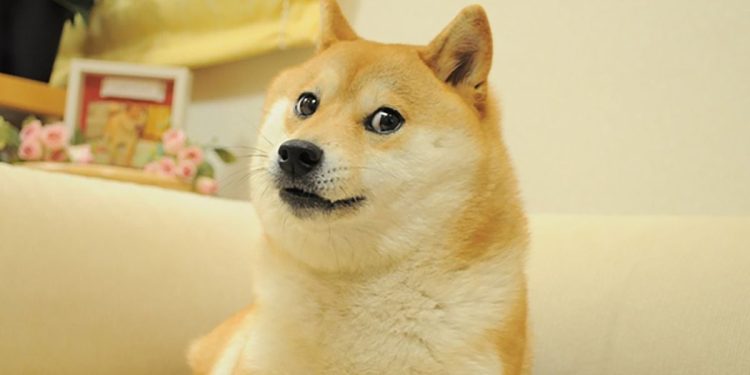 Dog That Inspired Dogecoin (DOGE), Shiba Inu (SHIB) Has Died