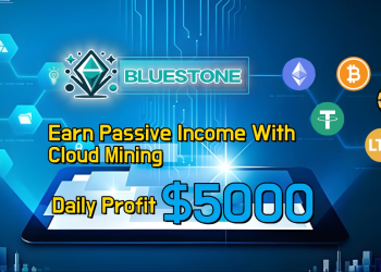 The recent downturn in the crypto market has made it important to choose the right direction – BSM’s data analyst