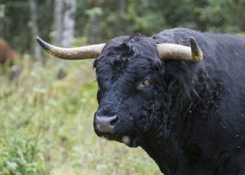 Is MATIC Poised For Takeoff? Key Area Breaks Records