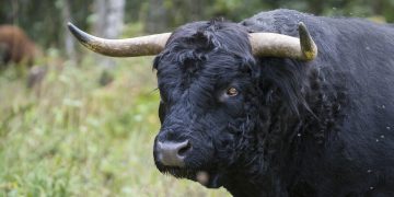 Is MATIC Poised For Takeoff? Key Area Breaks Records