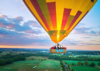 Ethereum Holdings Balloon To 30%