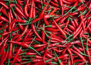 Analyst Predicts 4x Your Money With Upcoming Breakout