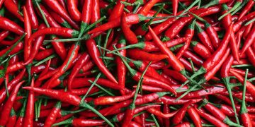 Analyst Predicts 4x Your Money With Upcoming Breakout