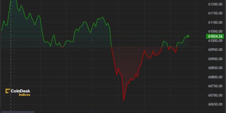Crypto Market Slides as Rebound Seen Delayed