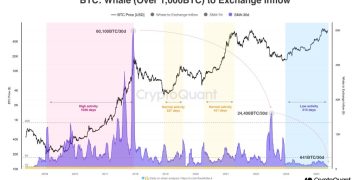 Bitcoin Whales Are Not Selling, BTC Has Strong Support Above $60,000