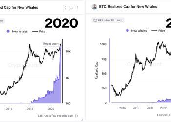 Bitcoin Whale Signal Echoes Pre-480% Surge In Mid-2020