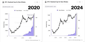 Bitcoin Whale Signal Echoes Pre-480% Surge In Mid-2020