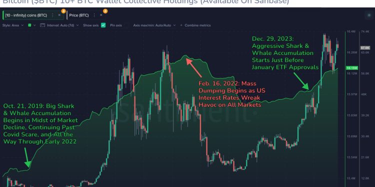 This Bitcoin Metric Is “One Of Crypto’s Top Leading Indicators”: Santiment
