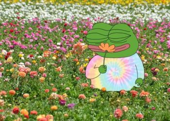 Apu Memecoin Soars, Reaching 11,600 Token Holders with Strong Community Support