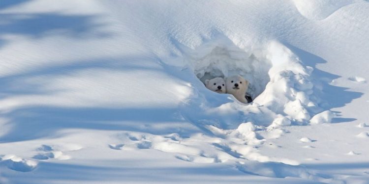 Social Media Booms, But Price Stuck In The Bear Pit