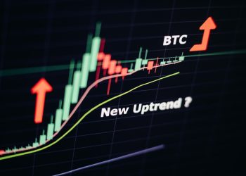 Crypto Expert Willy Woo Predicts Bitcoin Has Room To Run