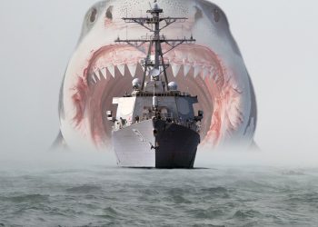 Did A Dogecoin Whale Sink The DOGE Ship? $30M Mystery