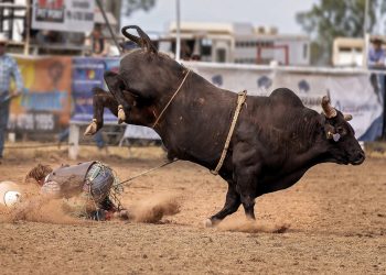 Cardano Breaks Past 200MA, Analyst ‘Insanely’ Bullish on ADA