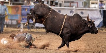 Cardano Breaks Past 200MA, Analyst ‘Insanely’ Bullish on ADA