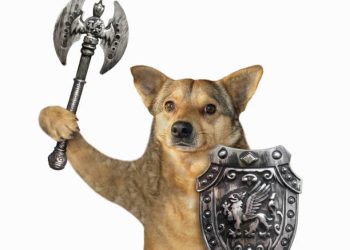 Floki Floats 22%, Aims For ‘World’s Most Used Crypto’ Title