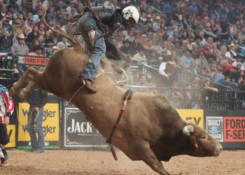 VeChain Bull Run Imminent — Expert