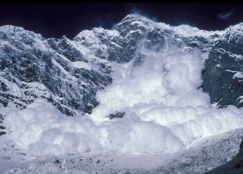 Avalanche Weathers The Storm – Can AVAX Hit $40 Again?