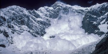 Avalanche Weathers The Storm – Can AVAX Hit $40 Again?