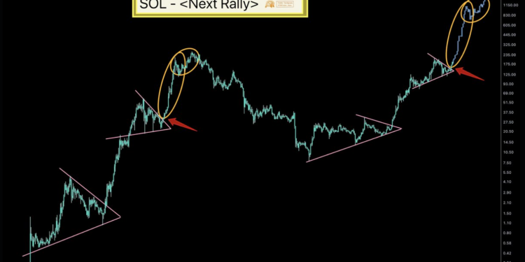 Solana to Hit $1,000? Analyst Makes Bullish Call Despite Downturn