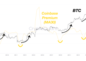 Buy Or Sell Bitcoin? Quant Reveals What Leading Metric Says