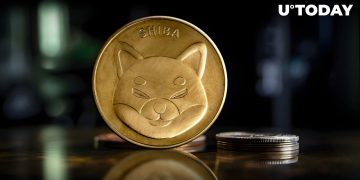 No Whale Transactions on Network