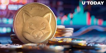 Shiba Inu (SHIB) Witnesses Epic 1,510% Growth of Key Metric, But There’s a Catch