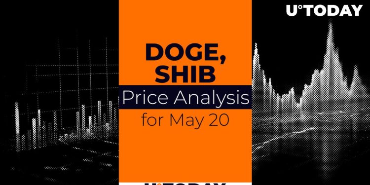 DOGE and SHIB Price Prediction for May 20