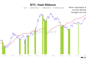 Bitcoin Hash Ribbons Form Capitulation Signal: What It Means