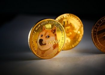 Dogecoin, Shiba Inu volume slumps as Solciety token sale thrives