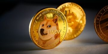 Dogecoin, Shiba Inu volume slumps as Solciety token sale thrives