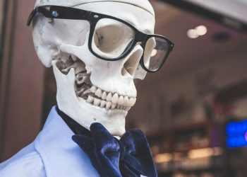 Memeinator in focus as most meme coins beat Bitcoin in 2024