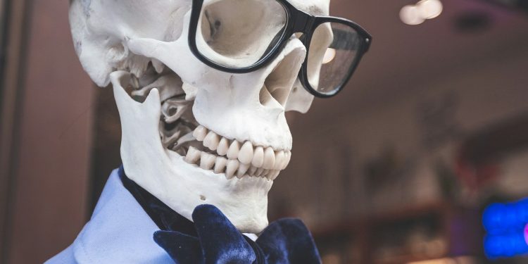 Memeinator in focus as most meme coins beat Bitcoin in 2024