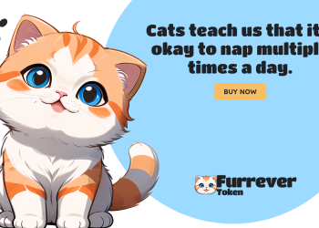 Altcoin Watch: Ethereum and Solana Maintain Strength, Furrever Token Offers High Referral Bonuses