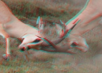 Another Episode in the Layer-2 Teams Drama