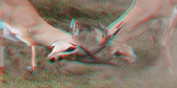 Another Episode in the Layer-2 Teams Drama