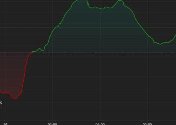 Ether, Meme Coins Lead Recovery While Bitcoin Remains Subdued