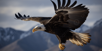 Analyst Predicts Stellar Rise For The Solana Memecoin