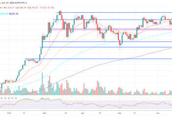 Lekker Capital CIO Spotlights Prime Opportunity
