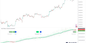 Best Long-Term Bitcoin Buy Signal Flashes: Hedge Fund CEO