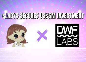Milady Meme Coin Secures US$5 Million Investment from DWF Labs