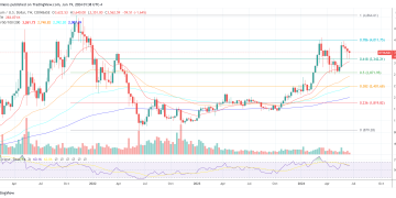 This Is The Biggest Issue With Altcoins This Cycle: Crypto Analyst
